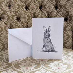 Cartes de notes vierges - Eastern Cottontail