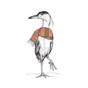 Cartões Holiday Night Heron (em branco)