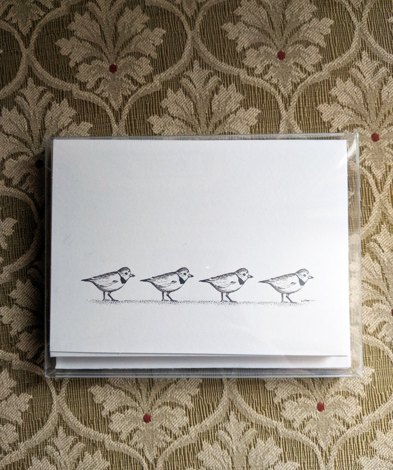 Blank Cards Piping Plover