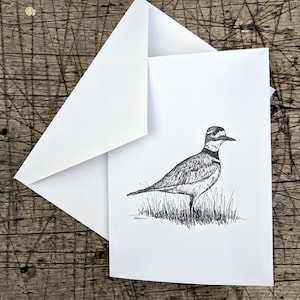 Blanko Grußkarten - Killdeer