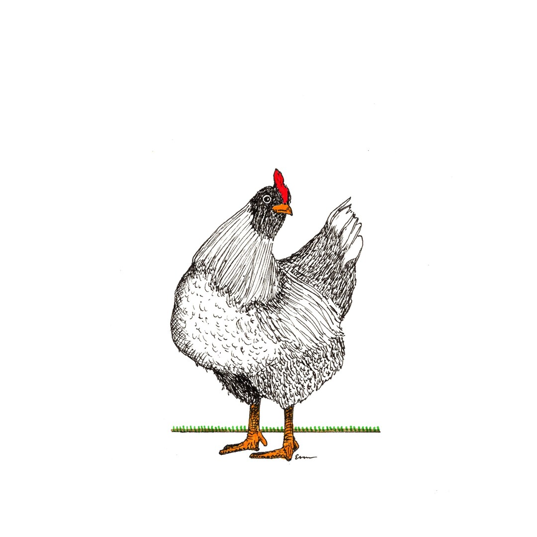 Blank Note Cards Chicken Etsy