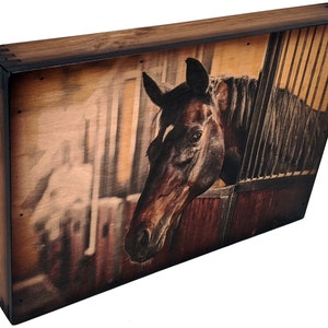Magestic Horse Wall Art