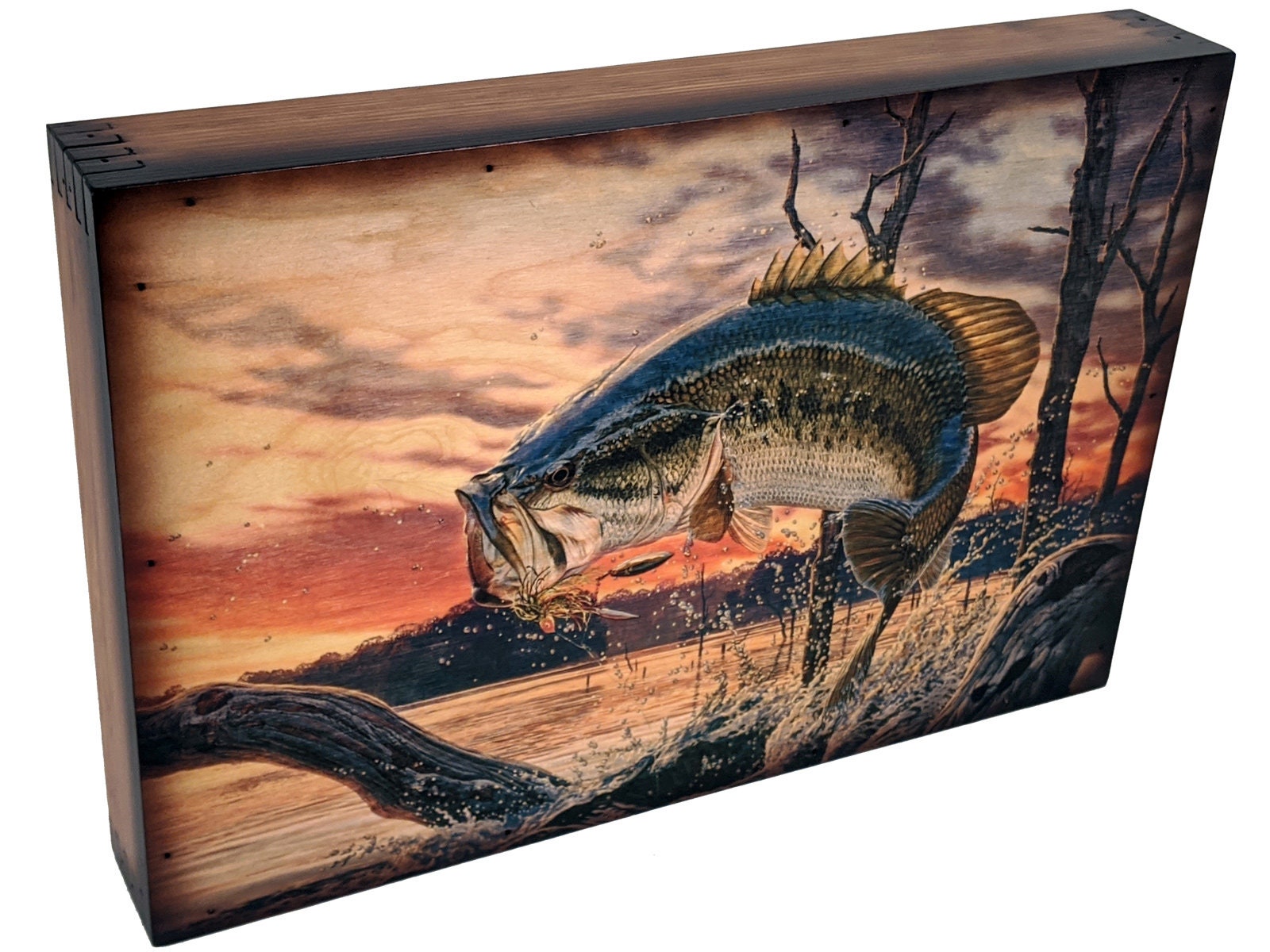 Acrylic Painting Largemouth Bass 16 X 20 canvas