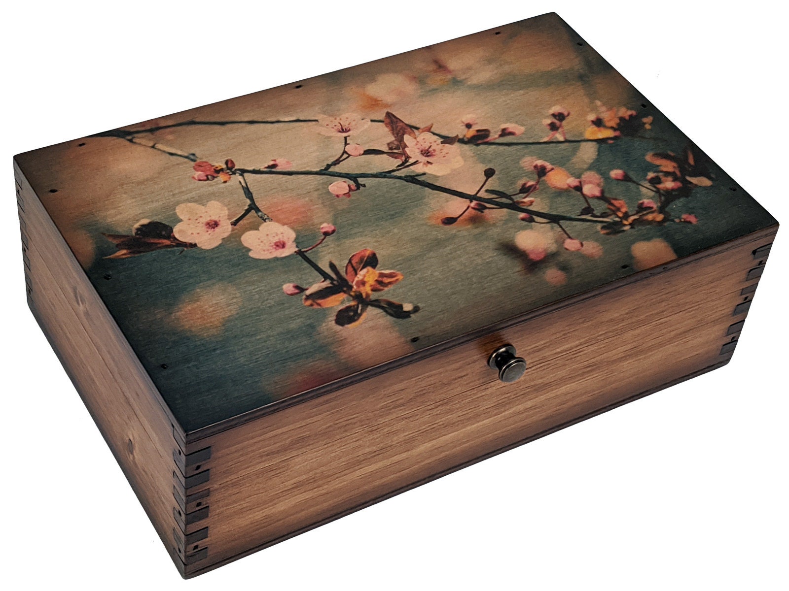1/2 Level Cherry Blossom 6 Grid Snack Box – The Kawaii Shoppu