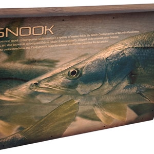 Snook Fishing Wall Art