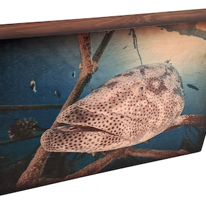 Goliath Grouper Wall Art