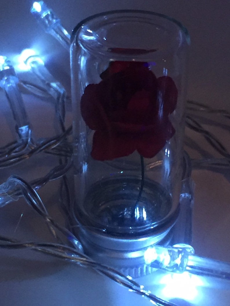 Miniature rose in a bottle
