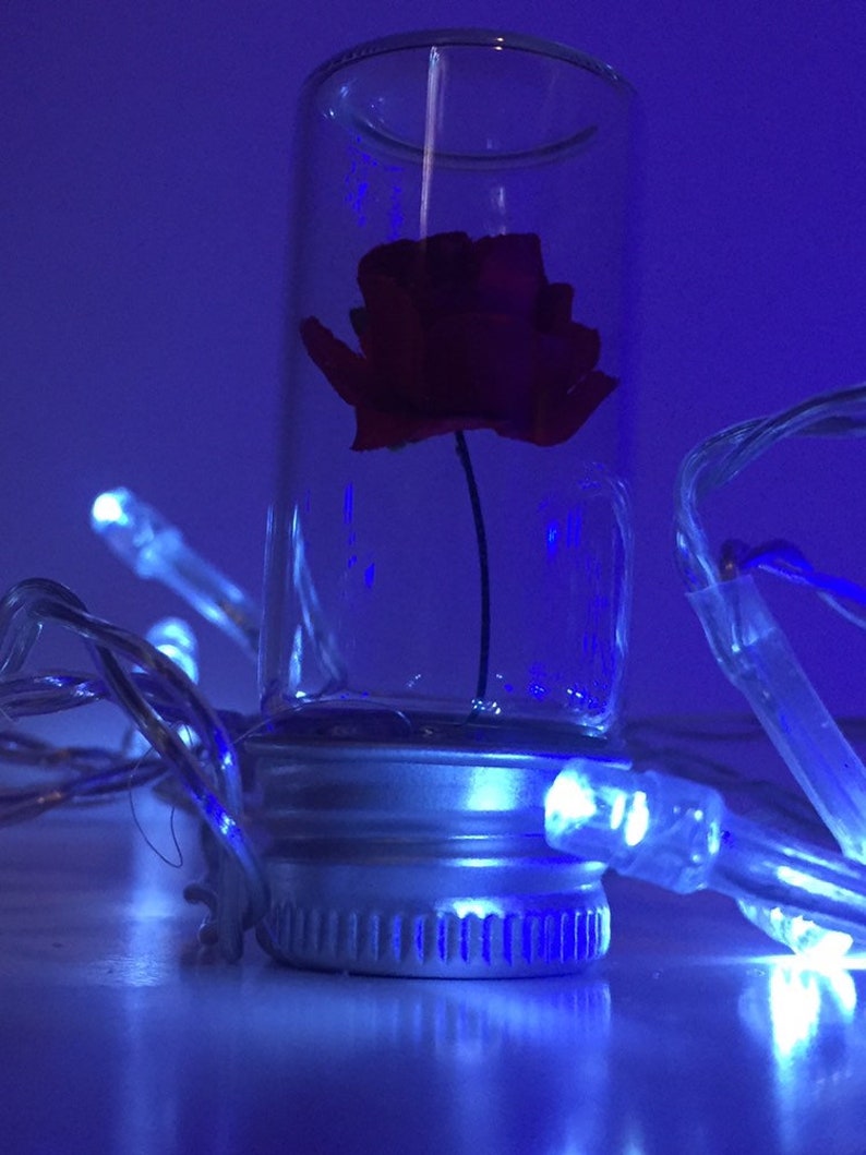 Miniature rose in a bottle