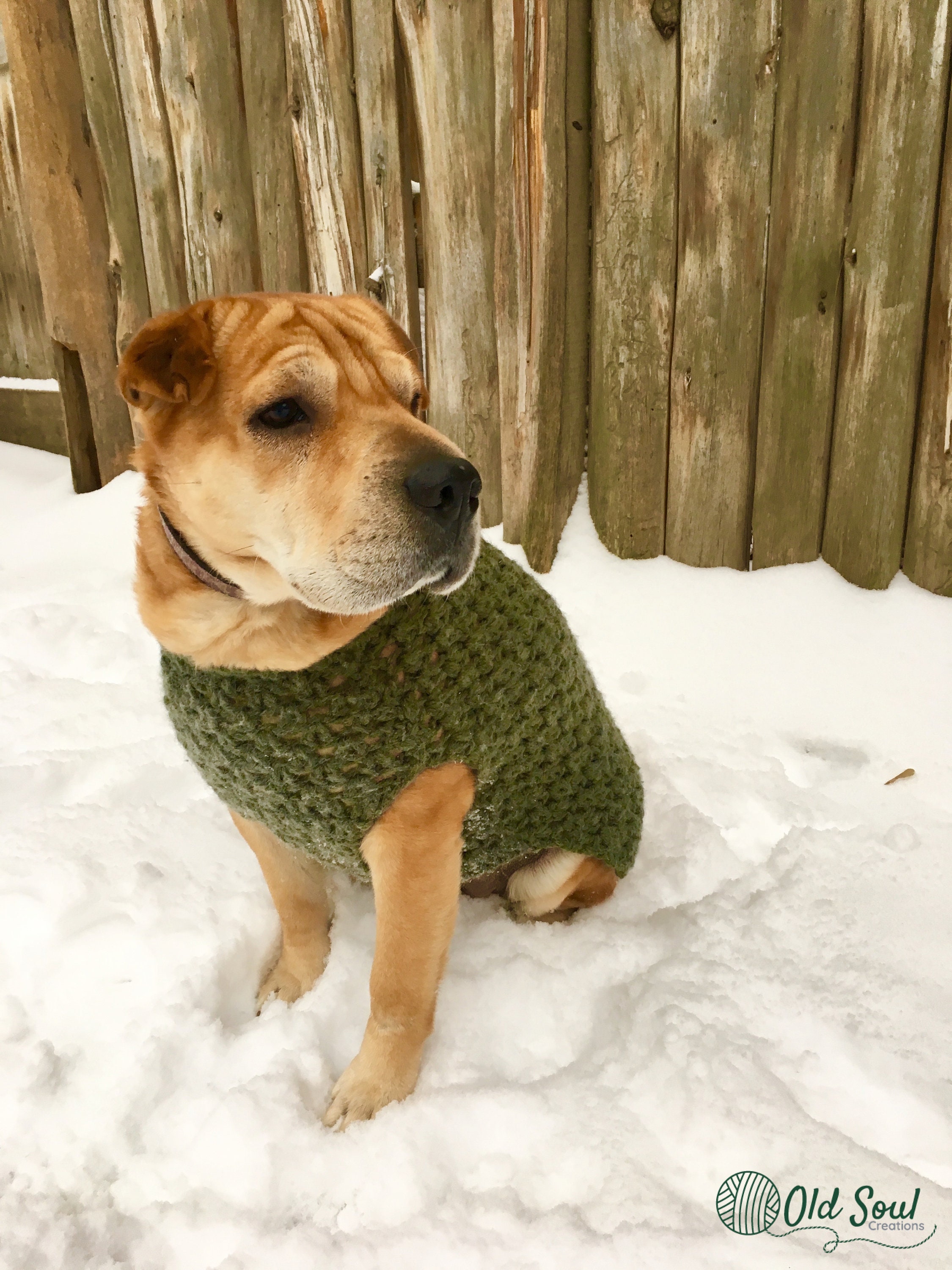 warm dog sweaters