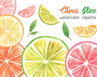 Watercolor Orange Slice Clipart, Citrus Slice Clipart, Orange Watercolor Clipart, Fruit Slice PNG, Tropical Fruit PNG