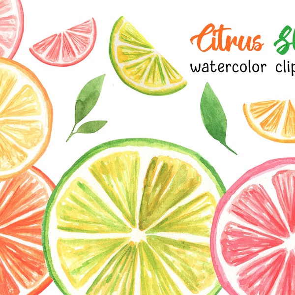 Watercolor Orange Slice Clipart, Citrus Slice Clipart, Orange Watercolor Clipart, Fruit Slice PNG, Tropical Fruit PNG