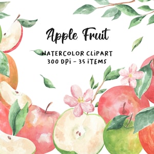Apfel Aquarell Clipart, Apfelscheibe PNG, Birne Aquarell Clipart, Sommer Obst PNG, Scheibe Obst Aquarell Clipart, digitaler Download PNG