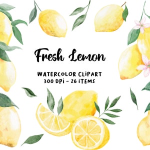 Zitrone Obst Aquarell Clipart, Limonade Bild, Aquarell frische Orange Clipart, Zitrone Zitrus Aquarell, handgemalte Aquarell Zitrone