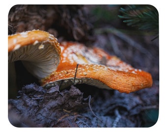 Fly Agaric Mouse pad