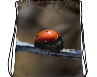 Ladybug Drawstring Bag