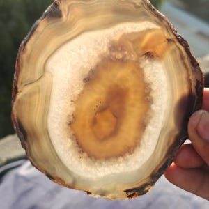 May include: A large, round, agate slice with brown, white, and light brown banding. The agate has a natural, polished finish.