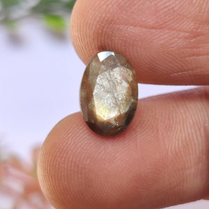 May include: A faceted oval-shaped gemstone with a brown and gold color.