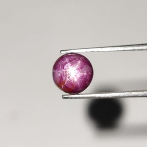 Puede incluir: Una gema de rubí redonda y pulida sujeta con pinzas. El rubí es de color rojo rosado intenso con un efecto de estrella visible en su superficie. La gema es lisa y reflectante, con una ligera sombra debajo.