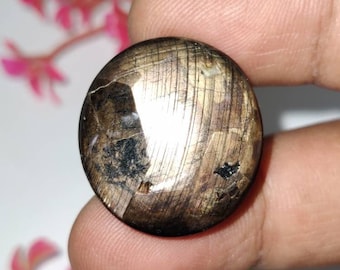 12 Strahlen Goldener Sternsaphir Cabochon, Natürlicher Goldener Stern Goldener Saphir Edelstein, Goldener Sternsaphir, 25 × 23 × 9 mm, 57,25 Karat