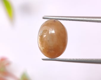 Cabochon de saphir jaune naturel, saphir sans chaleur, pierre de saphir jaune africain, 11 × 8,8 × 5 mm, 5,50 carats