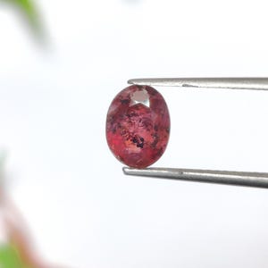 Op de afbeelding: Een ovale edelsteen die door een pincet wordt vastgehouden. De edelsteen heeft een dieprode kleur met donkere insluitsels en een facetgeslepen bovenkant. De achtergrond is wit, met een vage groene en rode plant in de linker benedenhoek.