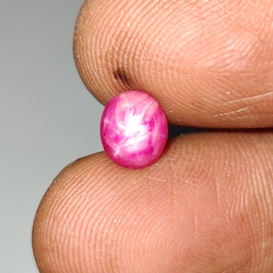 Può includere: Una piccola gemma di colore rosa vivace, di forma ovale e con una superficie lucida a cabochon. La pietra presenta un distinto fenomeno ottico a forma di stella bianca brillante, noto come asterismo, centrato sul suo corpo rosa scuro.