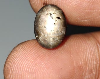 Dual Brown Star Sapphire Cabochon, einzigartiger 12 Strahlen Stern Goldener Saphir Edelstein, seltener Sternsaphir, 11.6x8.5x5.4 mm, 6.10 Karat