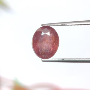 Könnte beinhalten: Ein facettierter, ovaler Edelstein, der von einer Pinzette gehalten wird. Der Edelstein hat eine tiefrot-rosa Farbe mit inneren Einschlüssen und eine polierte Oberfläche. Der Hintergrund ist hellweiß und hebt die Farbe und Klarheit des Edelsteins hervor.
