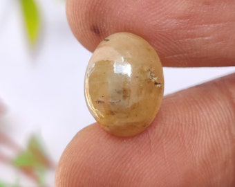 Cabochon de saphir jaune naturel, saphir jaune sans chaleur, pierre précieuse de saphir jaune d'Afrique, 13,5 × 10,6 × 4,3 mm, 6,20 carats