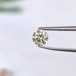 Könnte beinhalten: Ein runder, im Brillantschliff geschliffener, champagnerfarbener Edelstein, der von einer silberfarbenen Metallpinzette gehalten wird. Der Stein weist zahlreiche Facetten auf, die das Licht reflektieren und ein Funkeln in warmen Hellbraun- und Beigetönen erzeugen.