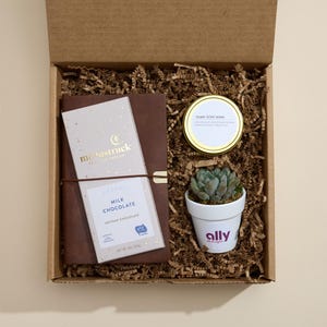 May include: A brown cardboard box with a brown paper filler. The box contains a brown leather journal with a gold moonstruck logo, a small succulent plant in a white pot with the word "ally" printed on it, and a small gold jar with a white label that says "Fresh Flower Notes".