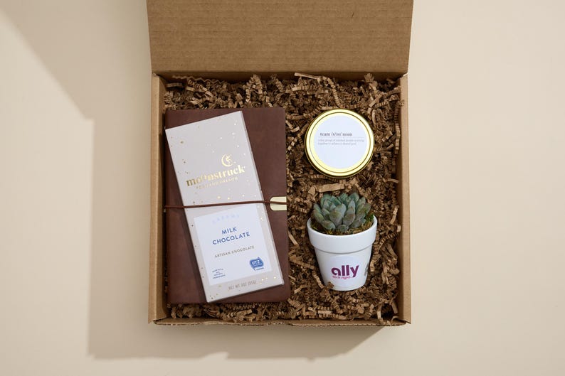 May include: A brown cardboard box with a brown paper filler. The box contains a brown leather journal with a gold moonstruck logo, a small succulent plant in a white pot with the word "ally" printed on it, and a small gold jar with a white label that says "Fresh Flower Notes".