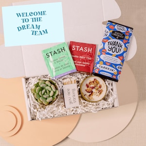 New Employee Gift Box | New Hire Gift | Welcome To The Dream Team Gift | Employee Succulent Gift | New Coworker Gift Box | Gift Basket