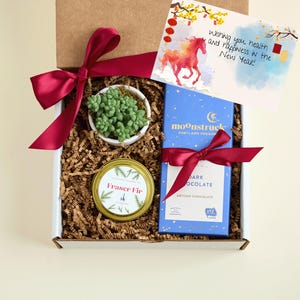 Lunar New Year Gift Box| Bulk Employee Lunar New year Succulent Gift w Hand Poured Soy Candle | Year of the Fire Horse Gift | Tet Gift Box 4 Tumbler