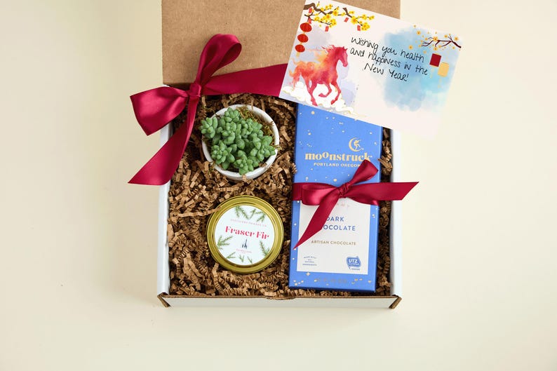 Lunar New Year Gift Box| Bulk Employee Lunar New year Succulent Gift w Hand Poured Soy Candle | Year of the Fire Horse Gift | Tet Gift Box 4 Tumbler