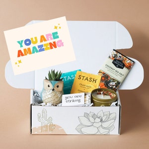 May include: A white gift box with a colorful card that says "You are amazing." The box contains a small succulent in a ceramic owl planter, a candle, tea bags, and a chocolate bar. The box is decorated with a cactus and a flower.