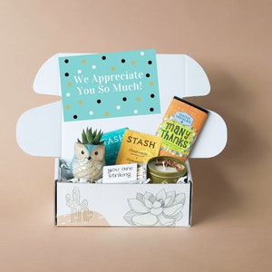 May include: A white gift box with a cactus design, filled with a variety of gifts, including a small succulent in a ceramic owl planter, a candle, matches, tea bags, and a chocolate bar. The box also includes a card that reads "We Appreciate You So Much!"