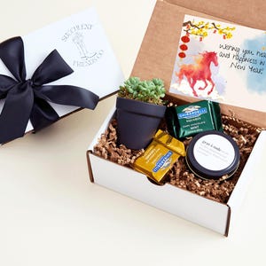 Lunar New Year Gift Box| Bulk Employee Lunar New year Succulent Gift w Hand Poured Soy Candle | Year of the Fire Horse Gift | Tet Gift BOX 2 Notes