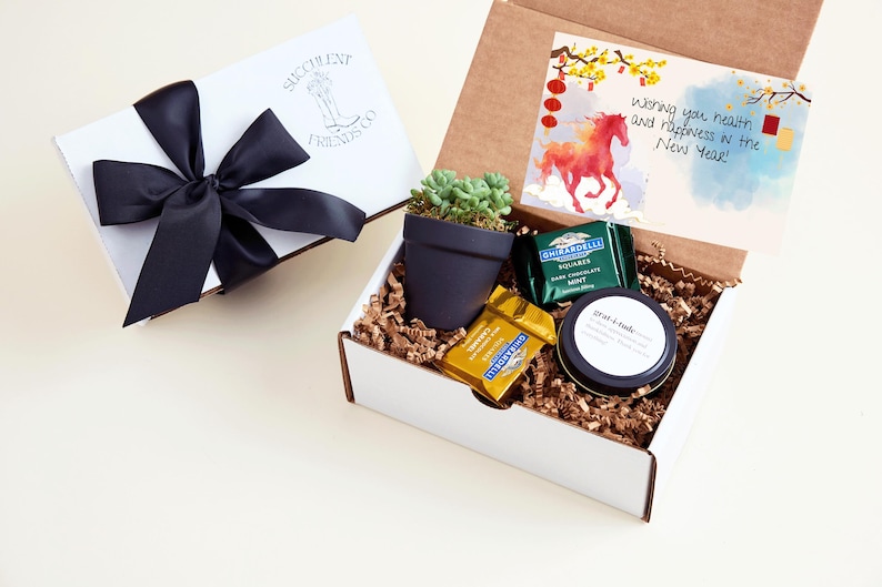 Lunar New Year Gift Box| Bulk Employee Lunar New year Succulent Gift w Hand Poured Soy Candle | Year of the Fire Horse Gift | Tet Gift BOX 2 Notes