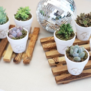 May include: Eight small white pots with succulents and the text "Let love grow" on the front, arranged on a wooden tray. A silver disco ball is in the background.