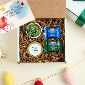 Lunar New Year Gift Box| Bulk Employee Lunar New year Succulent Gift w Hand Poured Soy Candle | Year of the Fire Horse Gift | Tet Gift BOX 3 Voyager