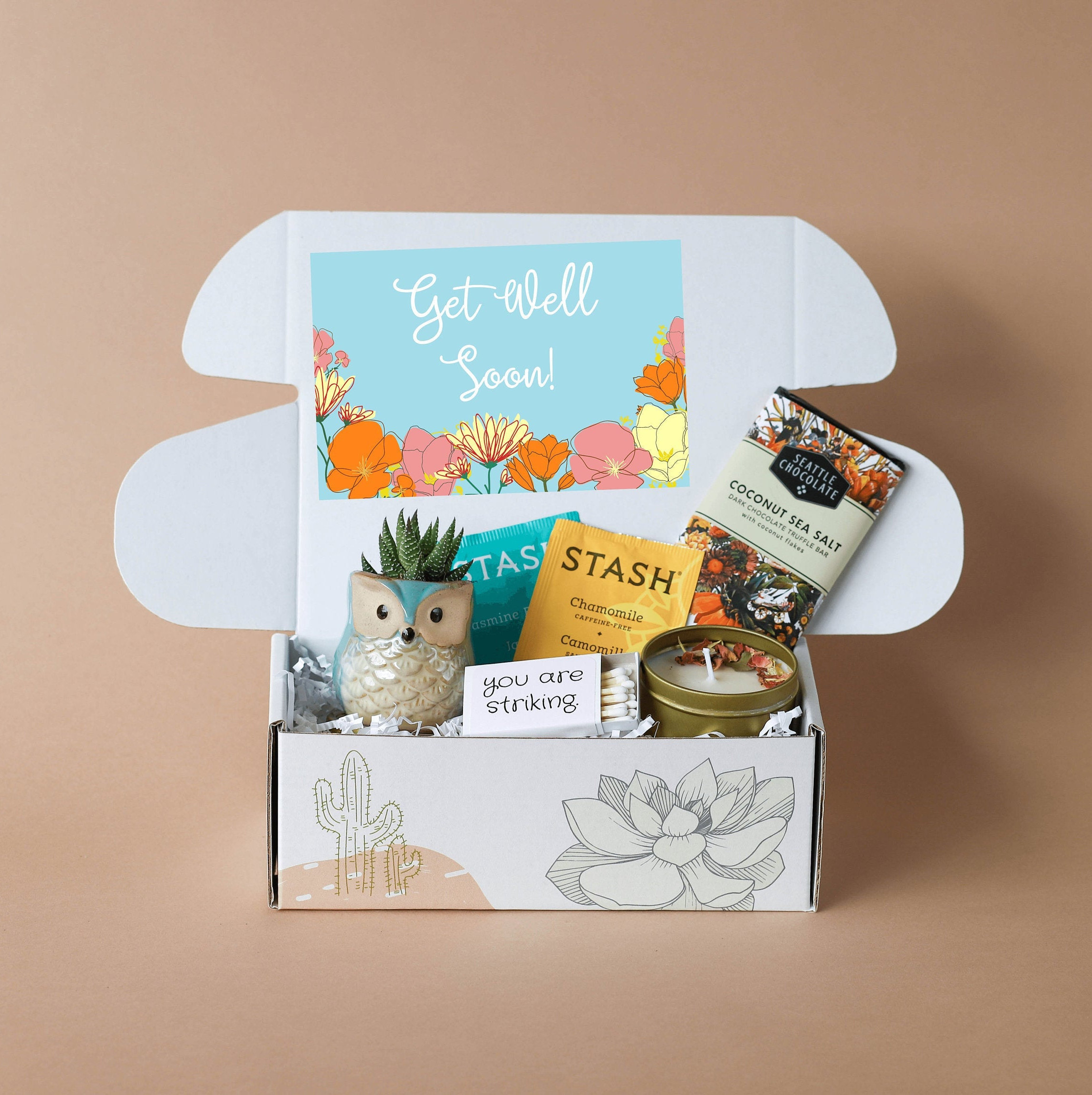 Get Well Soon Care Package Sending Well Wishes Succulent - Etsy