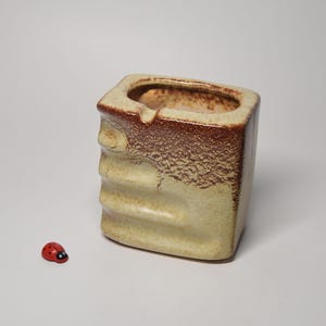 Pode incluir: Um recipiente de cerâmica retangular com uma base de cor creme e um esmalte castanho texturizado e salpicado na borda superior. O exterior apresenta três reentrâncias horizontais num dos lados. Uma pequena figura de joaninha vermelha e preta.