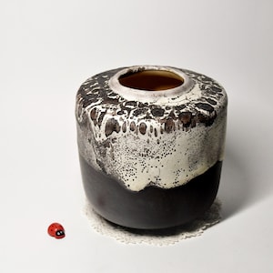 Può includere: Un vaso in ceramica fatto a mano con un design unico. Il vaso presenta una base color carbone scuro, che sfuma in una sezione superiore maculata bianca e marrone. Il bordo è bianco e una piccola statuina di coccinella rossa è vicina.