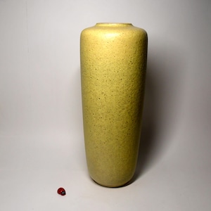 Peut inclure: Un vase cylindrique et élancé avec une surface texturée et tachetée. Le vase est d'une couleur jaune-vert sourde et a une base et un sommet légèrement arrondis. Une petite coccinelle rouge est visible près de la base du vase.