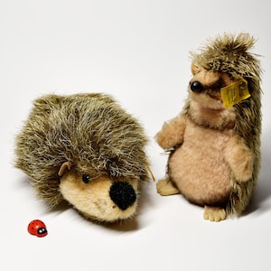 Könnte beinhalten: Zwei Stofftier-Igel mit braunem und beigem Fell, einer liegt und der andere steht. Ein kleines rotes Marienkäfer-Spielzeug liegt neben dem liegenden Igel. Der stehende Igel hat ein gelbes Etikett.