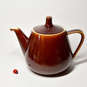 Può includere: Una teiera in ceramica marrone lucido con coperchio abbinato e manico curvo. La teiera ha un bordo e un beccuccio bianchi. Una piccola statuina di coccinella rossa è accanto alla teiera.