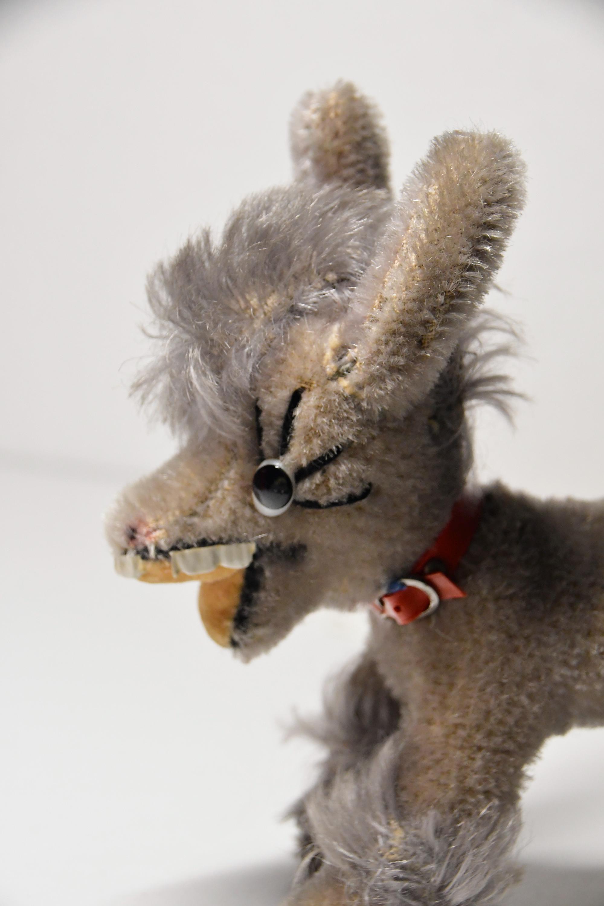 Small Donkey 