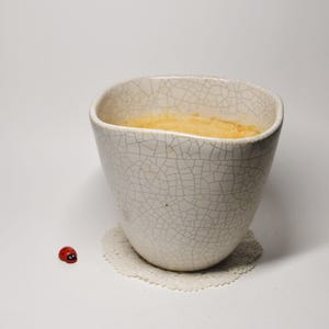 Può includere: Una ciotola in ceramica bianca screpolata di forma arrotondata, riempita con un liquido giallo. La ciotola è appoggiata su un centrino di pizzo bianco. Una piccola statuina di coccinella rossa è accanto alla ciotola.