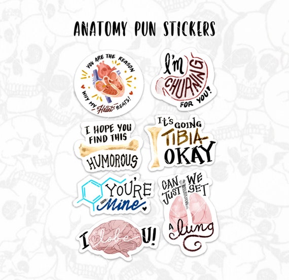 Anatomy Pun Stickers Etsy